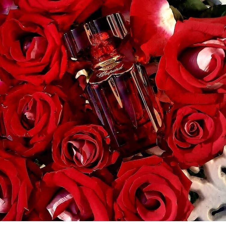 ادکلن زنانه شوپارد لاو